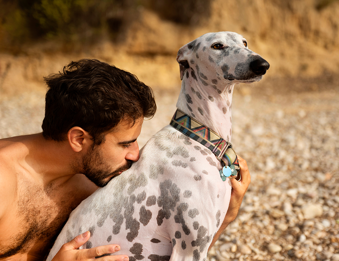 Dogs & owners